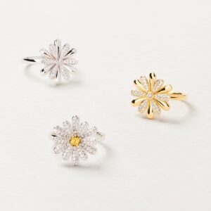 Poiray fidèle à sa devise « La créativité à tout prix »